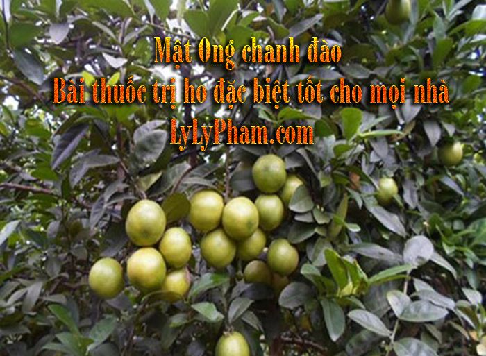 Bấm xem ảnh ở cửa sổ mới Bấm xem ảnh ở cửa sổ mới