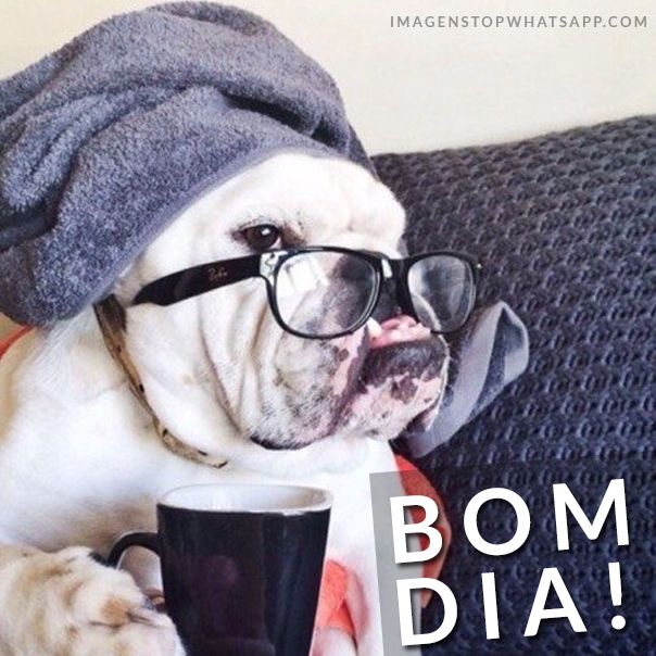  photo imagens-de-bom-dia-bom-dia-engracado-para-whatsapp-12_zpszhbgtdev.jpg