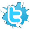  photo twitter-bird-light-bgs_zps429a15ac.png