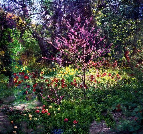 Garden Gate