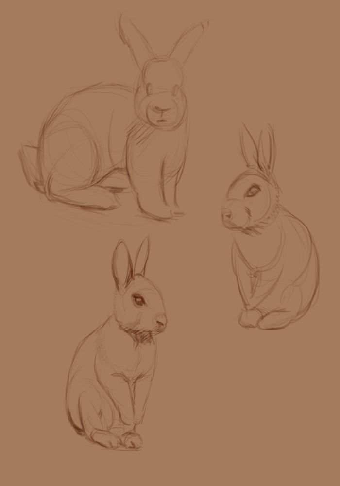 rabbitsketches_zps7a8b4e27.jpg