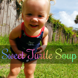 Sweet Turtle Soup