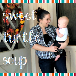 Sweet Turtle Soup