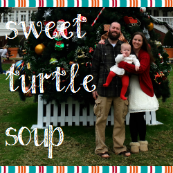 Sweet Turtle Soup