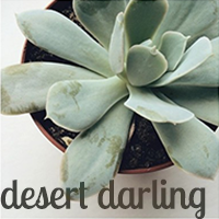 Desert Darling