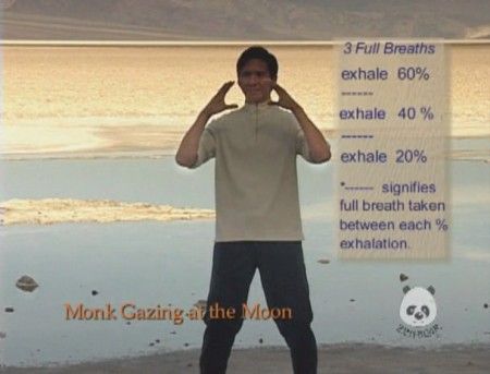 Chi Kung For Health, Volume One Five Standing Meditations Chi Kung For Health, Volume One Five Standing Meditations