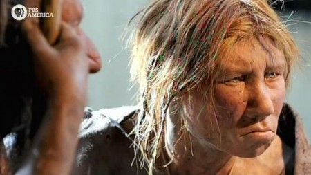 PBS - NOVA scienceNOW What Makes Us Human (2012)