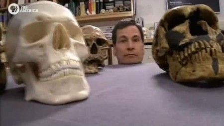 PBS - NOVA scienceNOW What Makes Us Human (2012)