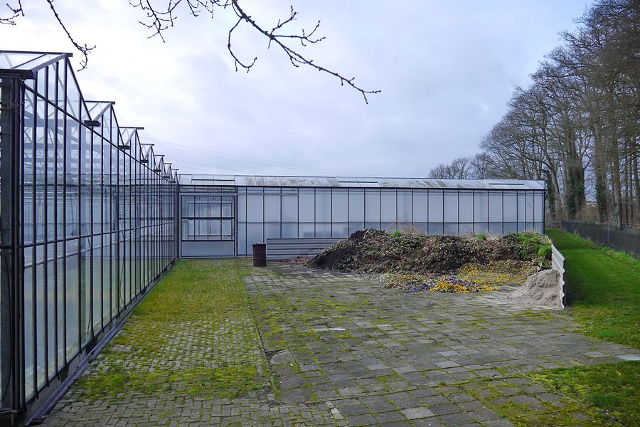 Fotografie