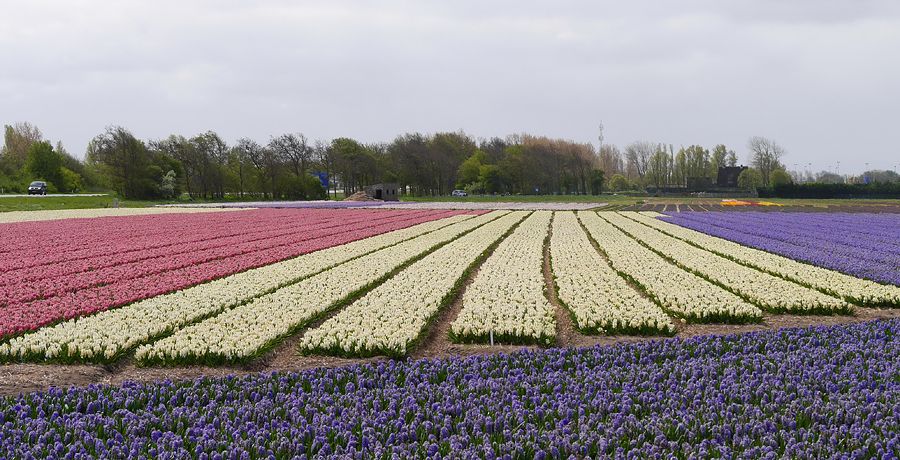 Fotografie