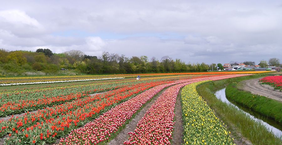 Fotografie