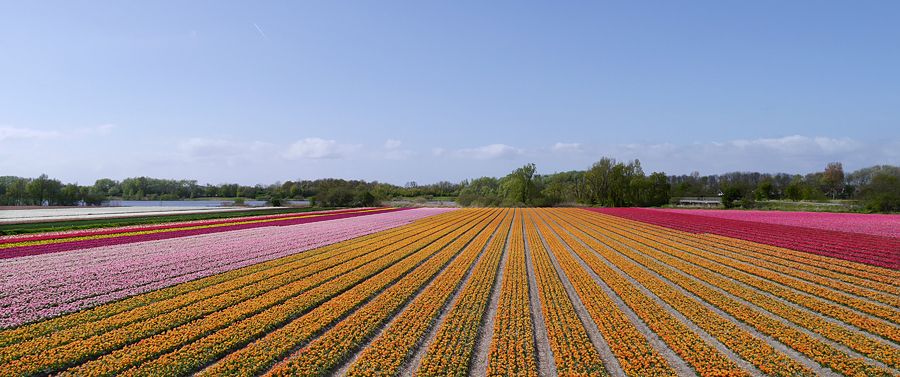 Fotografie