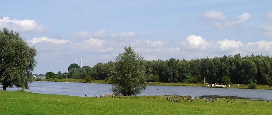 Fotografie