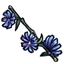  photo item_flower_chicory_zpsyrcmvijg.gif