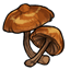  photo item_mushroom_galerina_zpsvwow2nmt.gif
