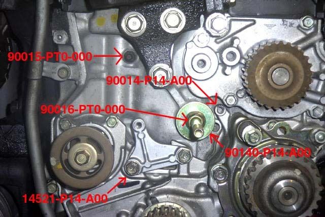 h22 timing belt