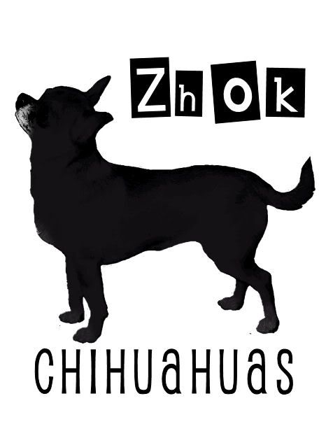 Zhoks Cool in Black