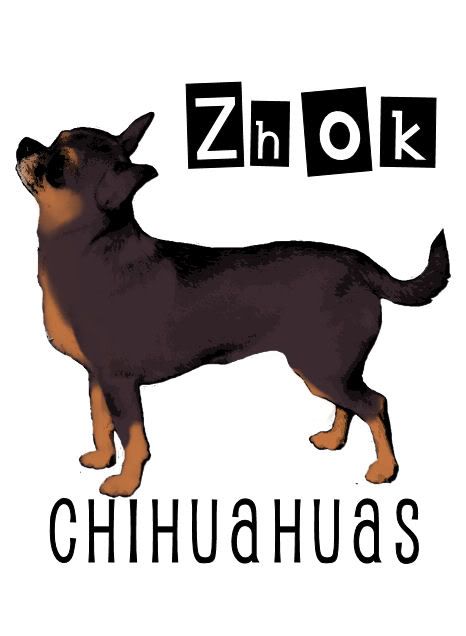 Zhoks Beginners Luck