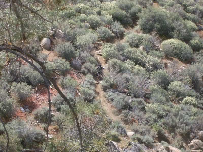 kernville single guys Hey guys,so one of my favorite things to do is mountain bike, and one of my favorite places to visit is kernville meadows, and then rocky single-track (7. kernville single guys Hey guys,so one of my favorite things to do is mountain bike, and one of my favorite places to visit is kernville meadows, and then rocky single-track (7.