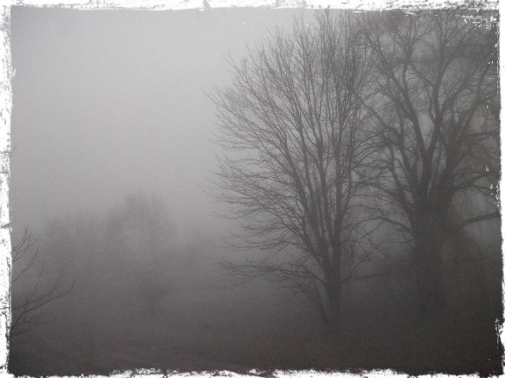 fog.2