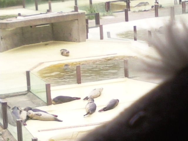 http://i1296.photobucket.com/albums/ag7/Achims/14-07-13%20Friedrichskoog/Foto5335_zpsa534e5f5.jpg