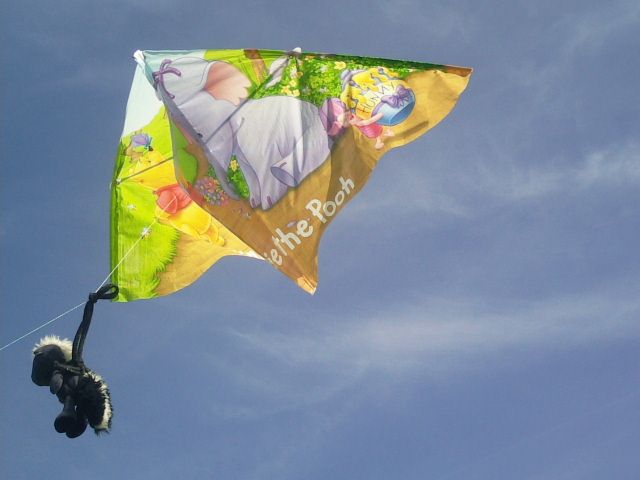 http://i1296.photobucket.com/albums/ag7/Achims/17-07-13%20Stoffiekiten/Foto5736_zpsb0726d13.jpg