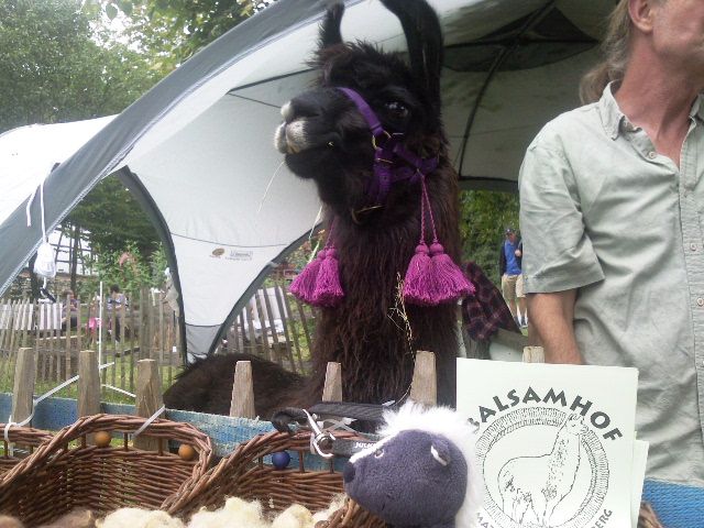 http://i1296.photobucket.com/albums/ag7/Achims/24-08-13%20Lindlar/Foto6911_zps65c17c8c.jpg
