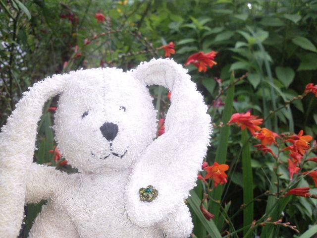 http://i1296.photobucket.com/albums/ag7/Achims/30-08-13%20Hase%20und%20Laika/Foto6989_zps4a3e05ce.jpg
