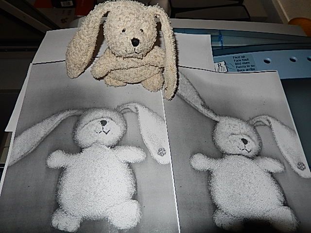 http://i1296.photobucket.com/albums/ag7/Achims/31-10-13%20Buerospaesse/DSCN0778_zps976ef33b.jpg
