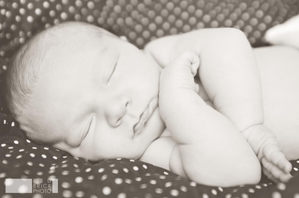 Jackson - Newborn photo Jackson_076-Copy_zps6042fc67.jpg