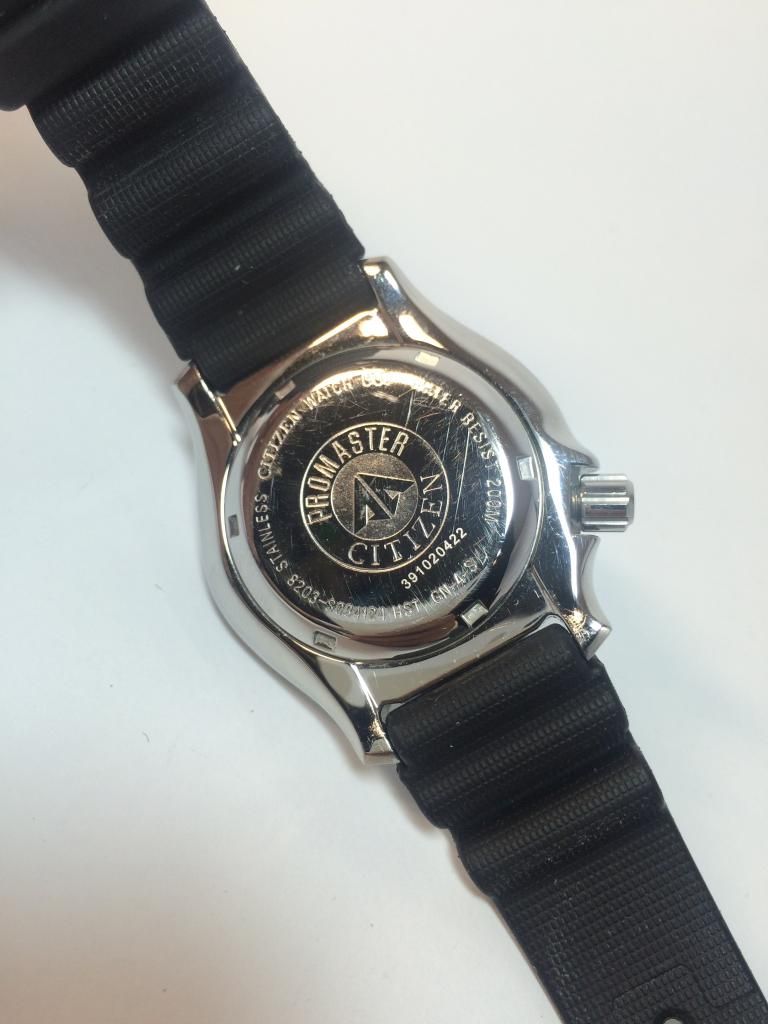 parnis nautilus