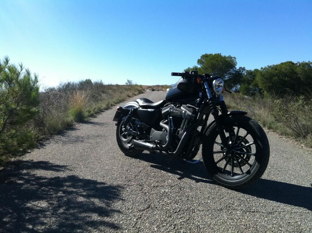1-Harley883Iron.jpg