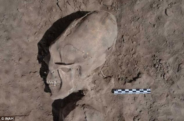 kaskus-forum.blogspot.com - Terungkap Misteri Tengkorak Alien Di Kuburan Kuno Meksiko
