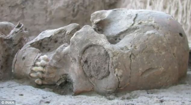 kaskus-forum.blogspot.com - Terungkap Misteri Tengkorak Alien Di Kuburan Kuno Meksiko