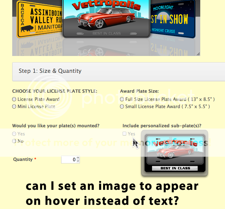 Image on Hover Question Screenshot 10