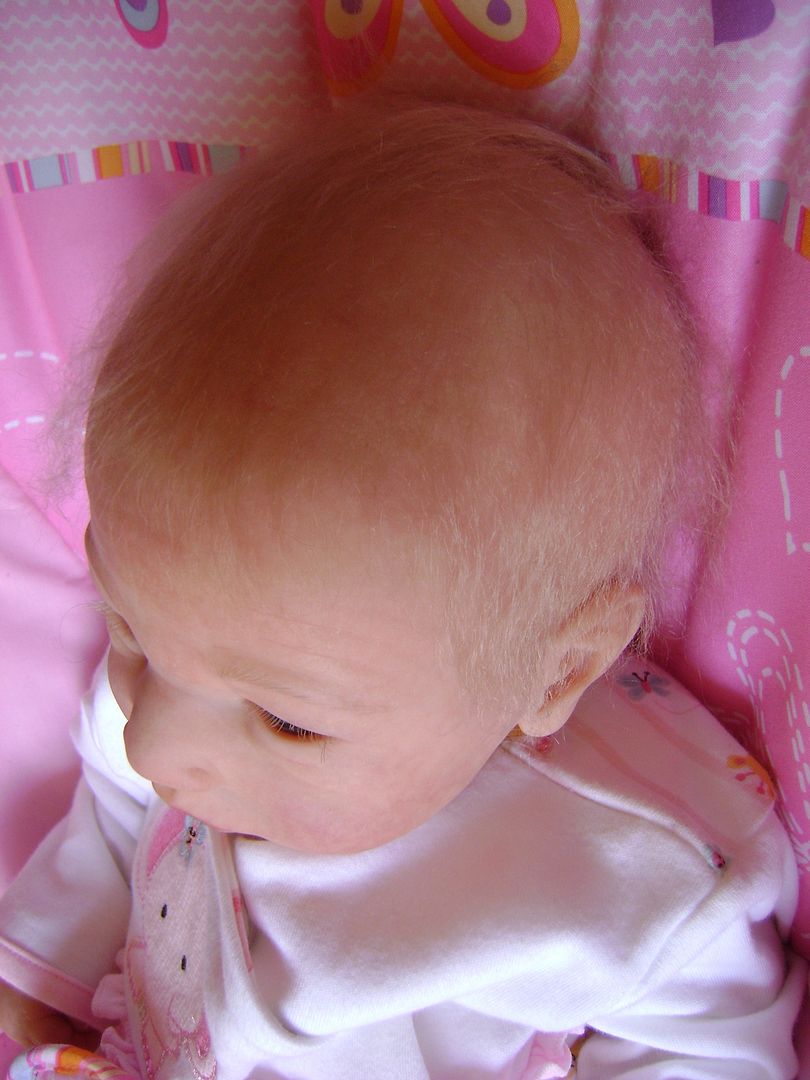 Beautiful Reborn Baby Doll Was Lillebror by Sabine Altenkrich Limited Ed 257 600