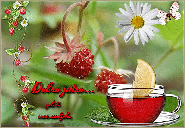 oie_NjvQrKConFFG_zps04088f56.gif