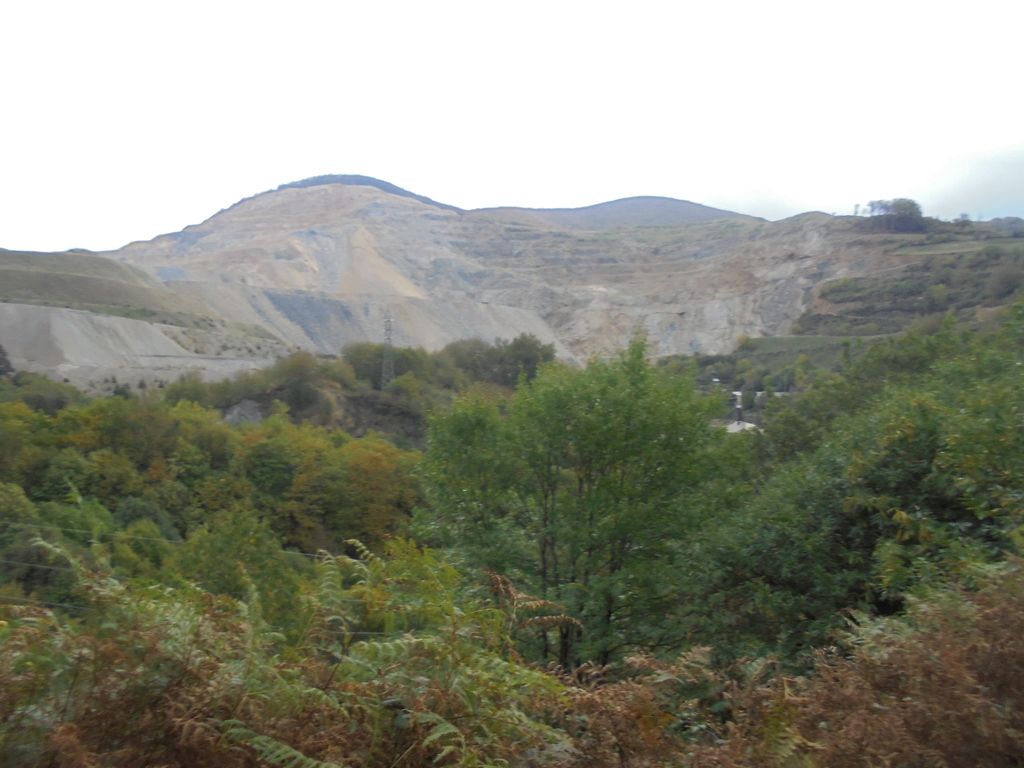 photo OTOO BURDINDOGI 23-10-16 001_zps2bfmswbc.jpg
