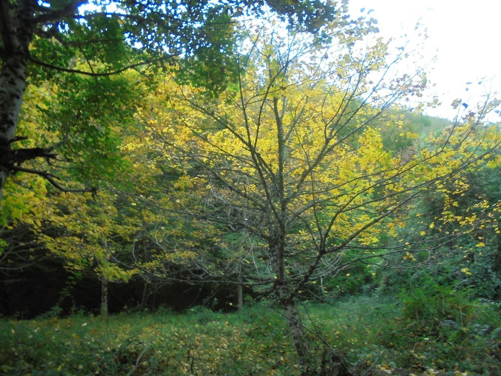 photo OTOO BURDINDOGI 23-10-16 040_zpszbgtf9hc.jpg