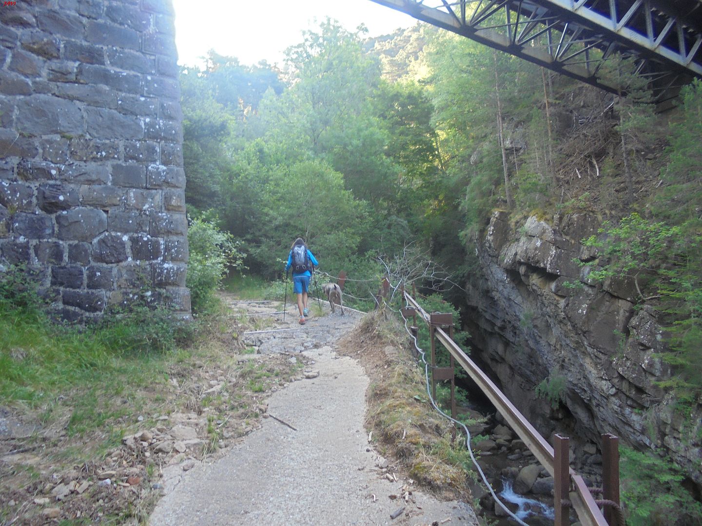 photo CULIVILLAS - COLLARADA 10-07-16 166_zpstbprfznc.jpg
