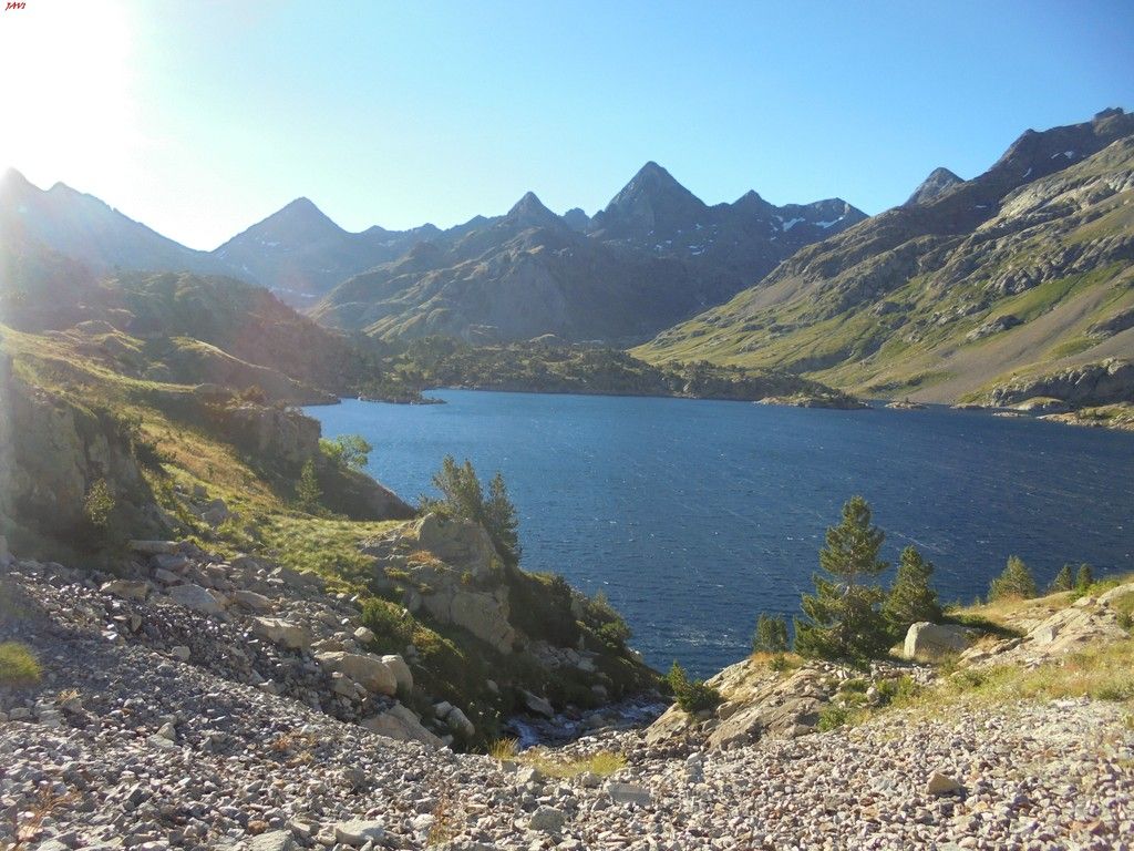photo FRONDELLAS - MIDI DacuteOSSAU 07-08-16 001_zpsk5gpgo8k.jpg