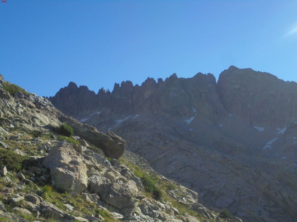 photo FRONDELLAS - MIDI DacuteOSSAU 07-08-16 010_zpsoroeo2y0.jpg