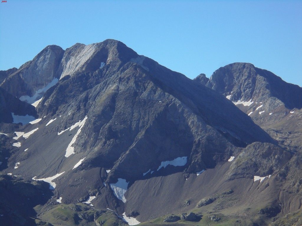 photo FRONDELLAS - MIDI DacuteOSSAU 07-08-16 012_zpstgykjrxc.jpg