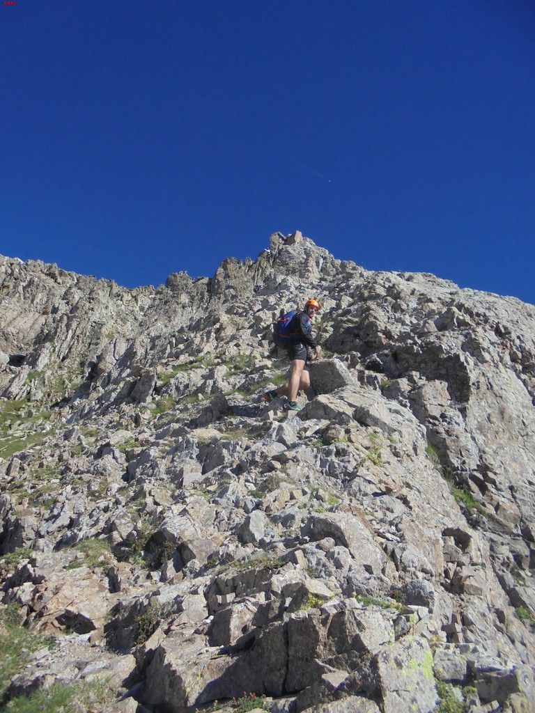photo FRONDELLAS - MIDI DacuteOSSAU 07-08-16 017_zpsuyqg70mv.jpg