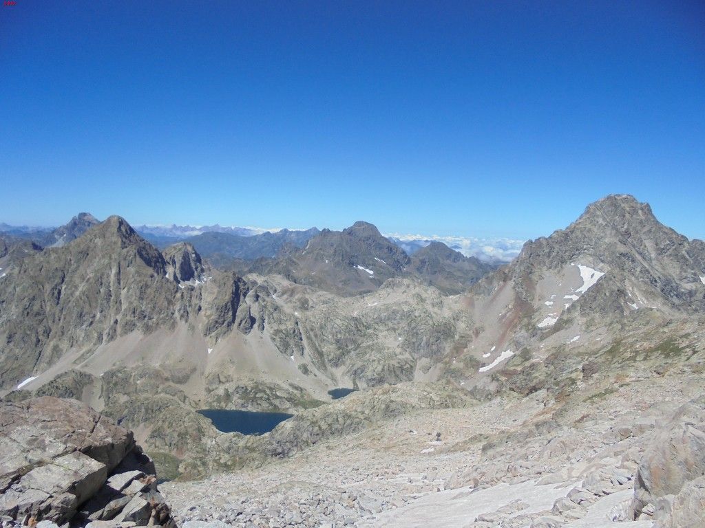 photo FRONDELLAS - MIDI DacuteOSSAU 07-08-16 079_zpsbcsa7zd8.jpg