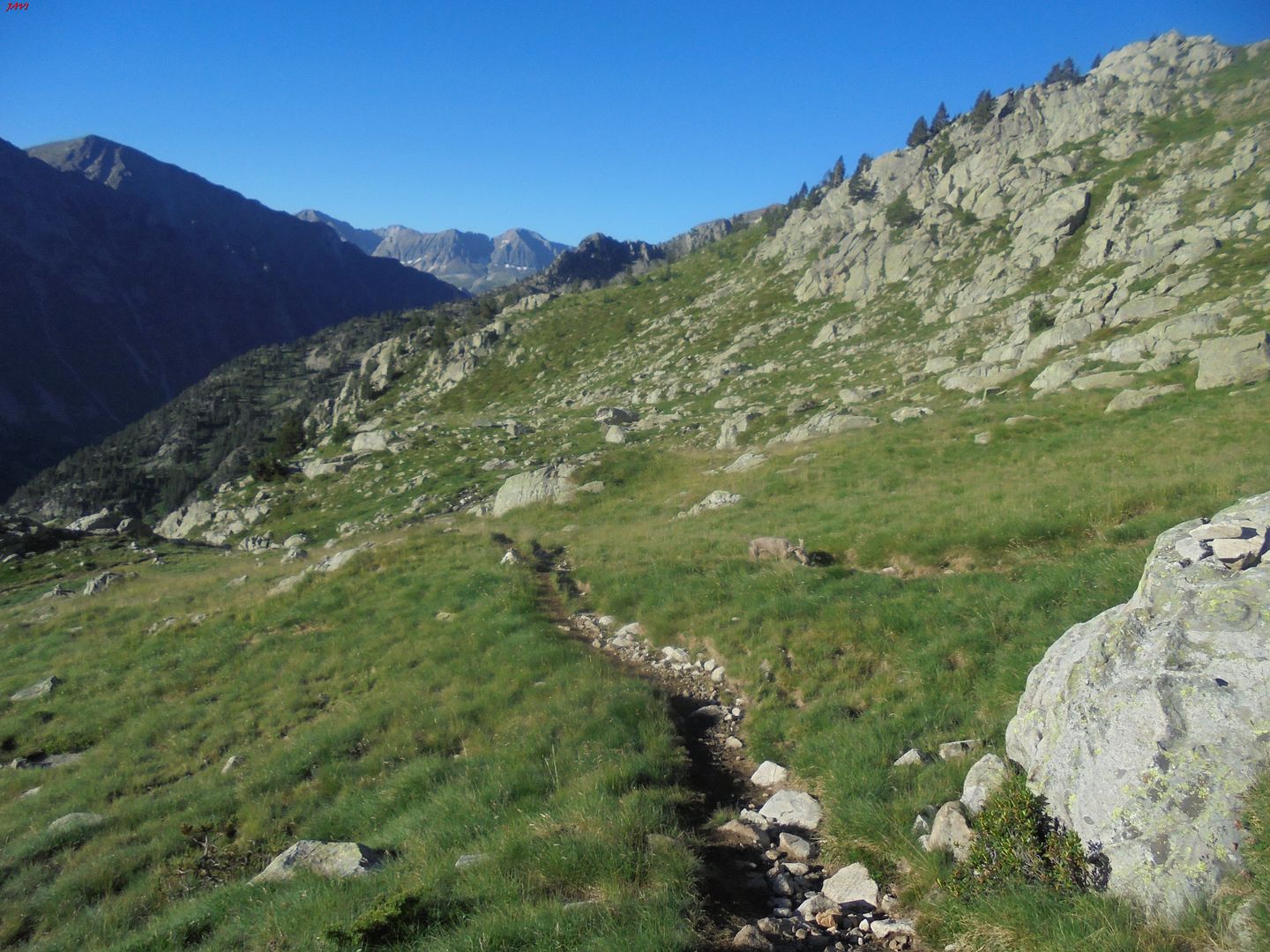 photo BALAITUS - GARMO NEGRO - ALGAS 25-07-16 150_zpsfs1uvrpq.jpg