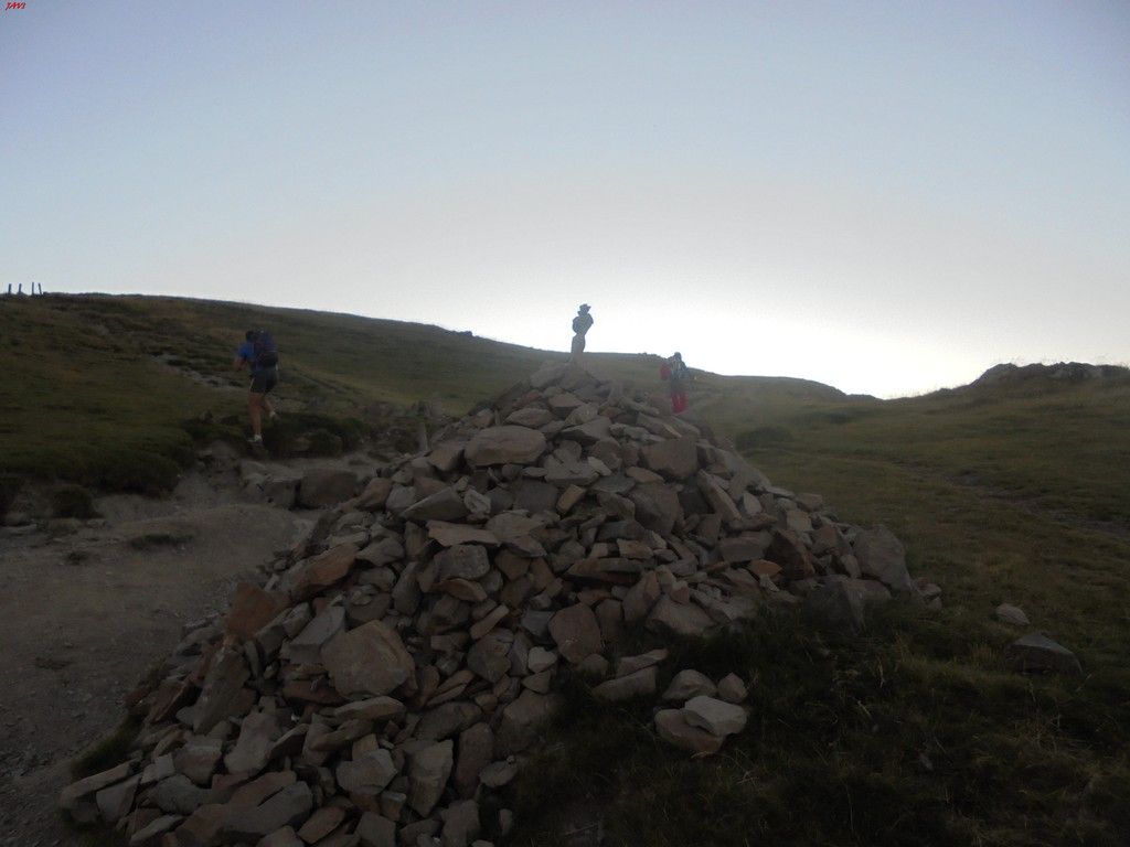 photo FRONDELLAS - MIDI DacuteOSSAU 07-08-16 090_zpsilnttunr.jpg