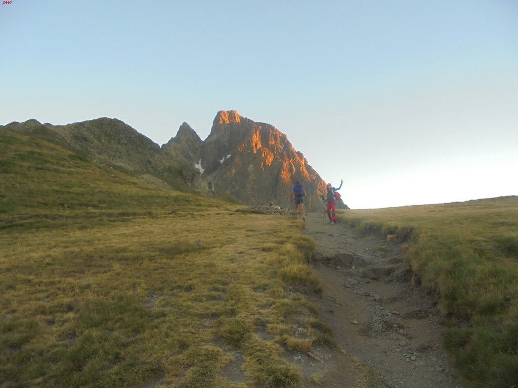 photo FRONDELLAS - MIDI DacuteOSSAU 07-08-16 092_zpsmgbuezoa.jpg
