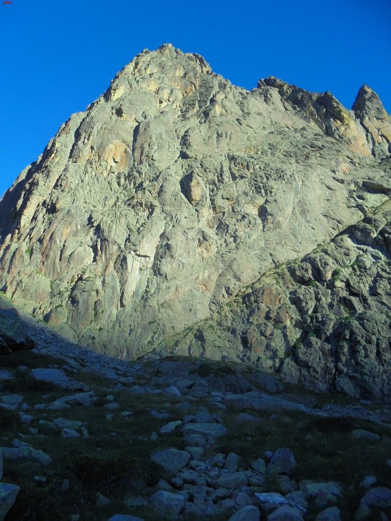photo FRONDELLAS - MIDI DacuteOSSAU 07-08-16 103_zpsplzi2rcp.jpg