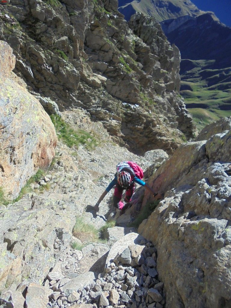 photo FRONDELLAS - MIDI DacuteOSSAU 07-08-16 117_zpsy6y8qtxv.jpg